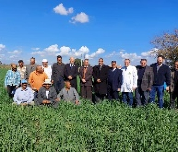 BU president inspects the wheat farms and the productive units in the faculty of agriculture